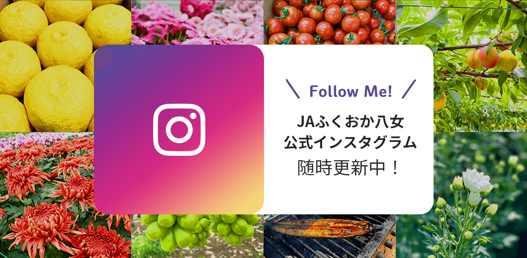 JAふくおか八女公式インスタグラム